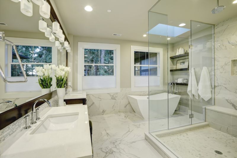 Elegant Tub-to-Shower Conversion